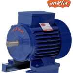 Single Phase Electric Motor